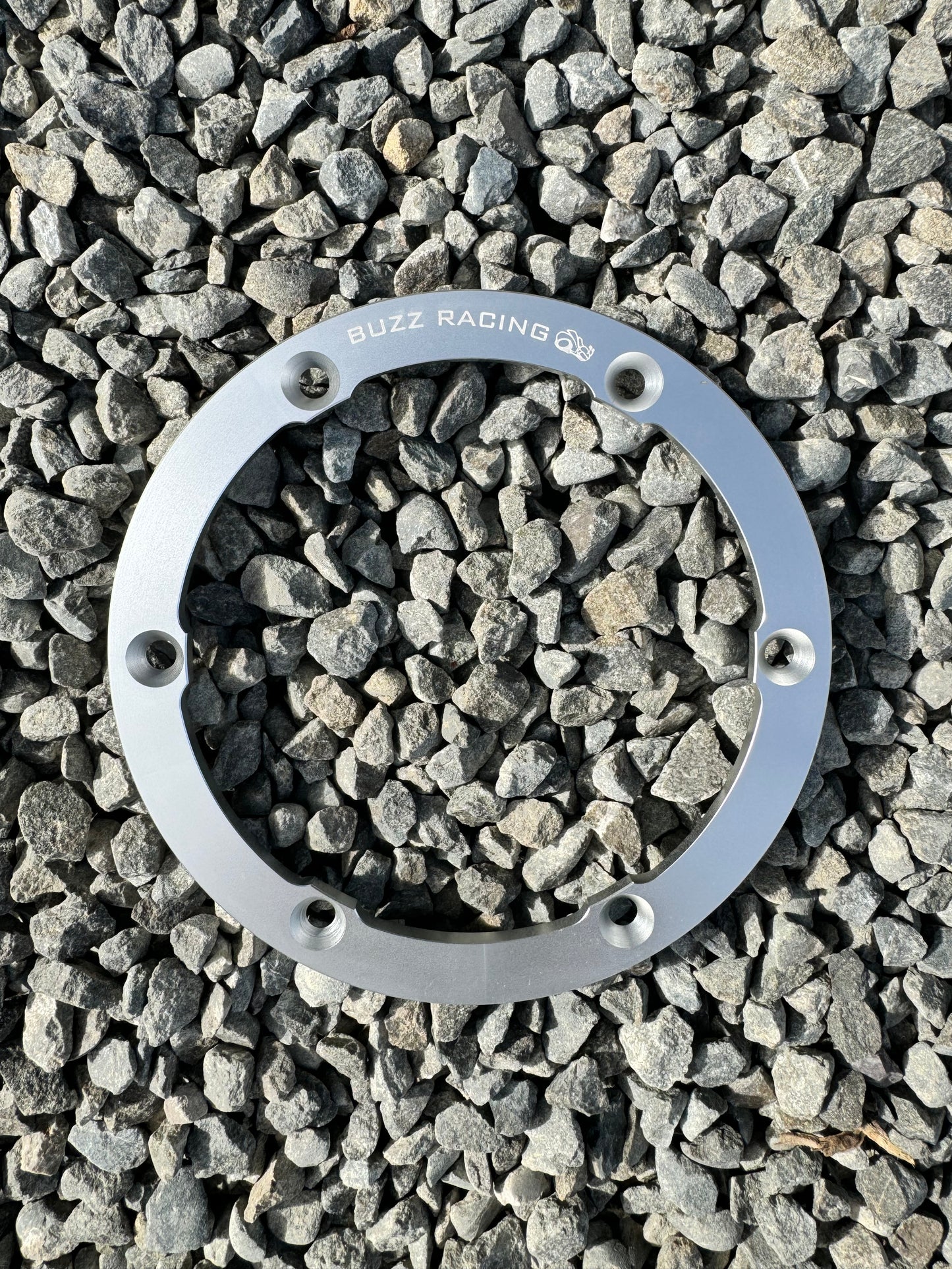 Beadlock Rim 4"