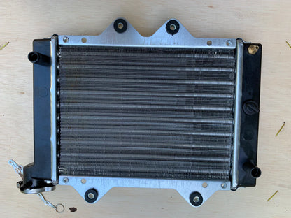 RADIATOR ONLY, SHINERAY 250CC