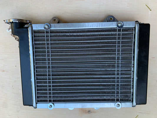 RADIATOR ONLY, SHINERAY 250CC