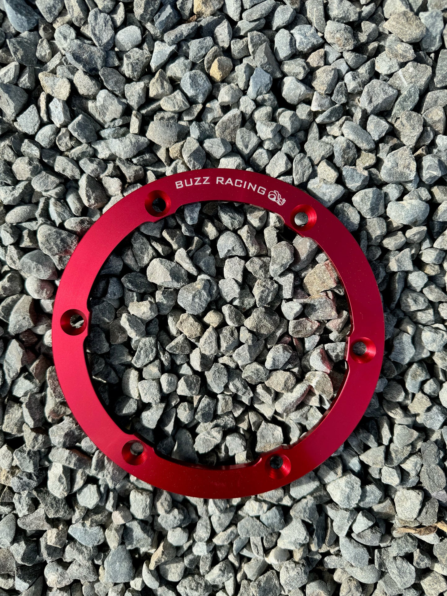 Beadlock Rim 5"